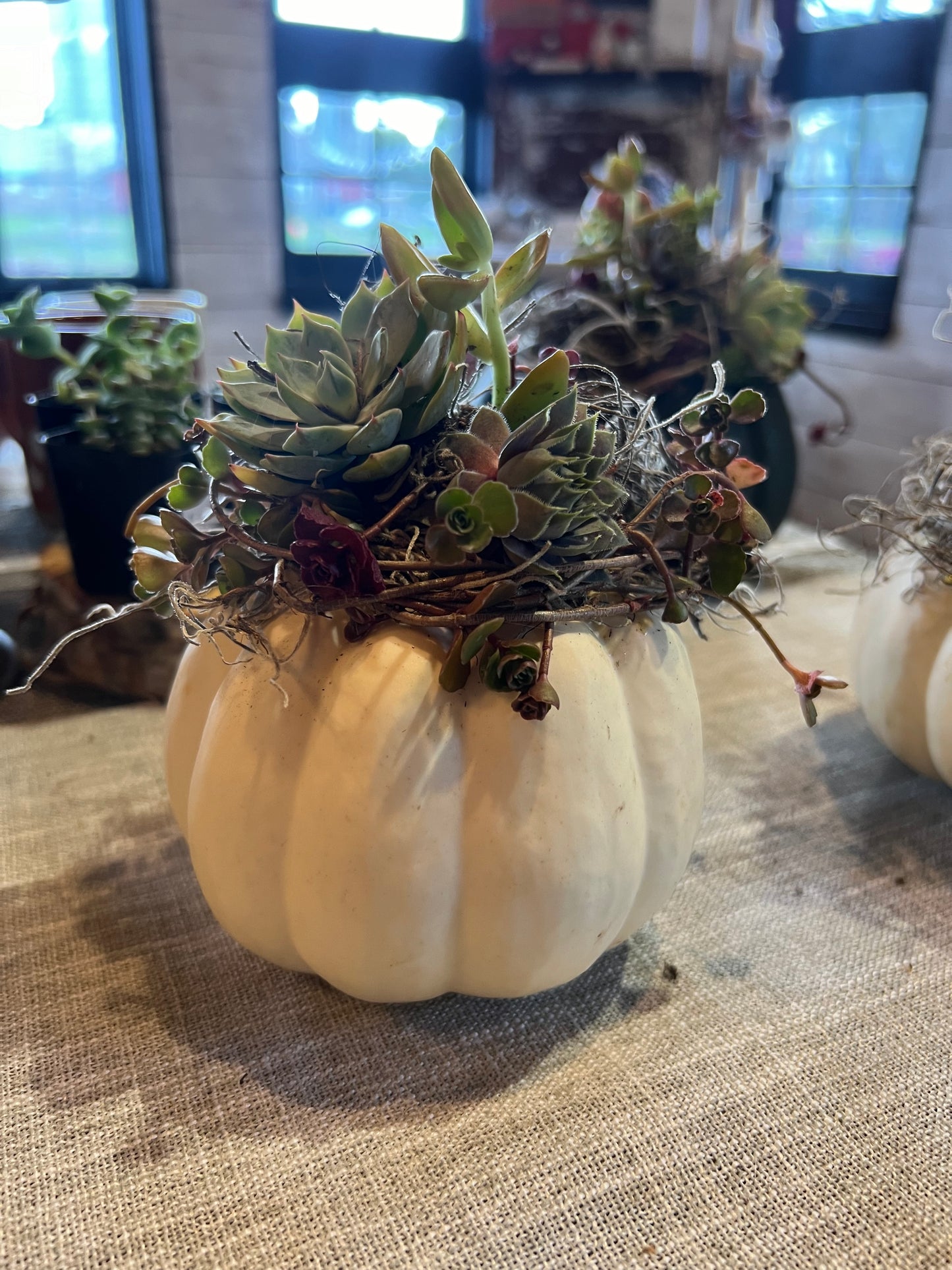 Succulent Pumpkin Workshop Ticket