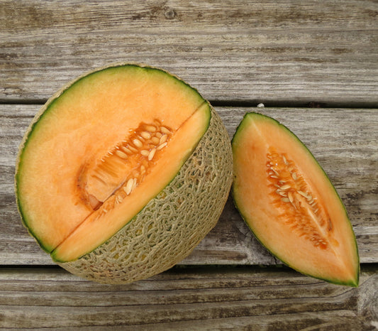 Sierra Gold Cantaloupe