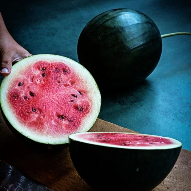 Blacktail Mountain Watermelon